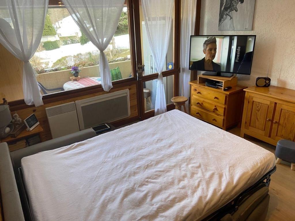Appartement Vue Montagne Avec Wifi Saint-Lary-Soulan Dış mekan fotoğraf