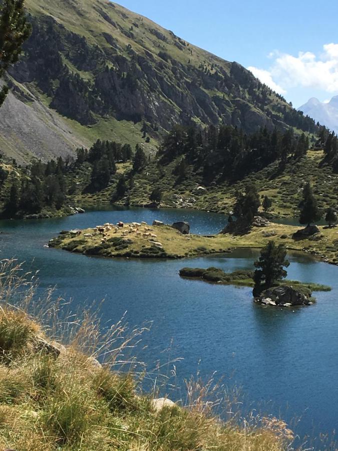 Appartement Vue Montagne Avec Wifi Saint-Lary-Soulan Dış mekan fotoğraf